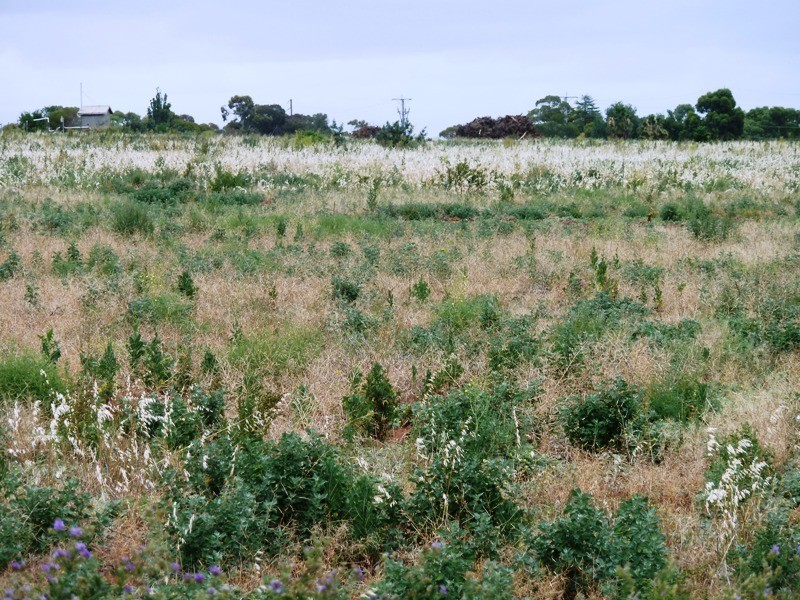 2 Bookpurnong Road, Loxton SA 5333