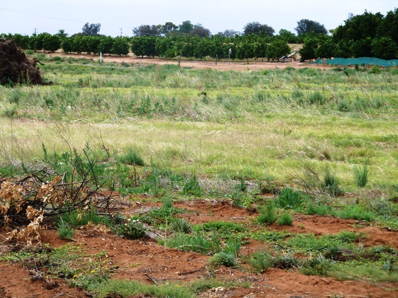 2 Bookpurnong Road, Loxton SA 5333