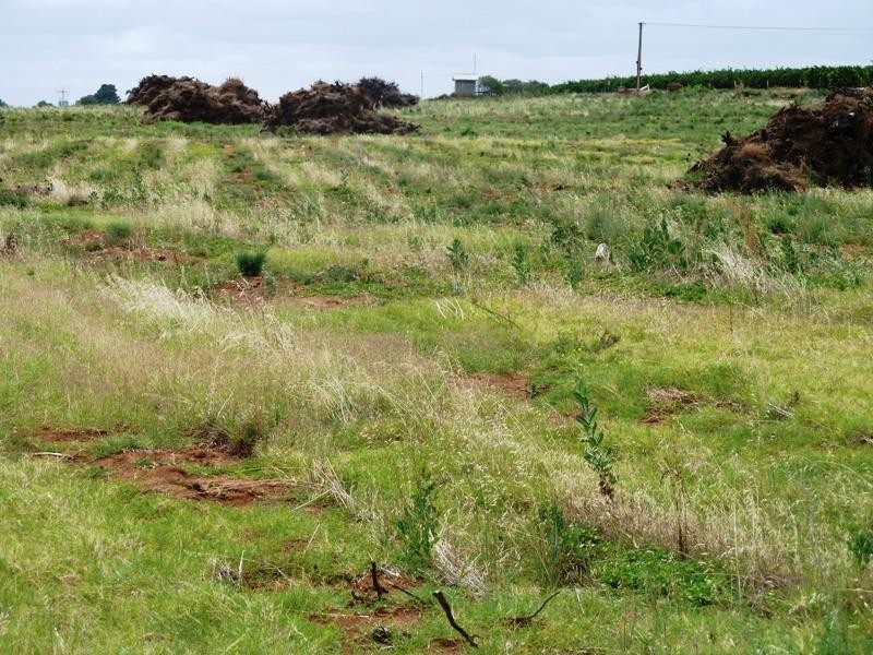 2 Bookpurnong Road, Loxton SA 5333