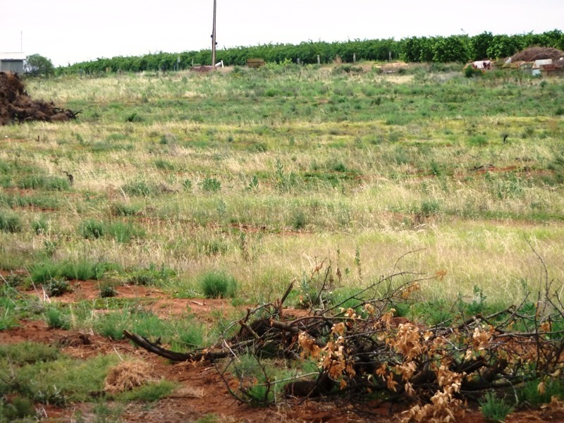 2 Bookpurnong Road, Loxton SA 5333