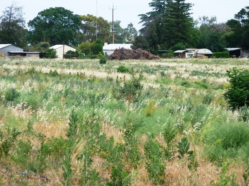 2 Bookpurnong Road, Loxton SA 5333