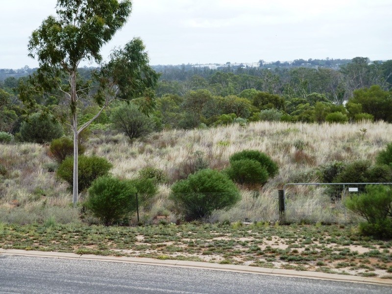 10 Thiele Avenue, Loxton SA 5333