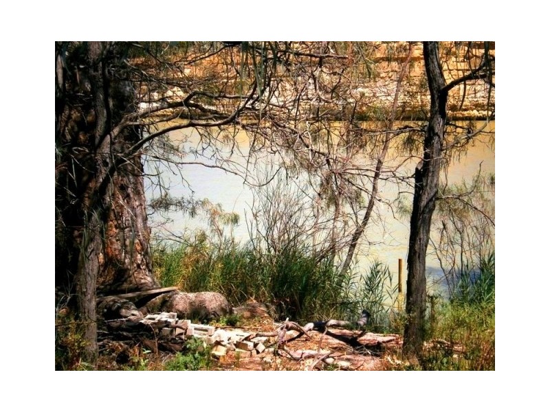 257 Old Cadell Road, Morgan SA 5320