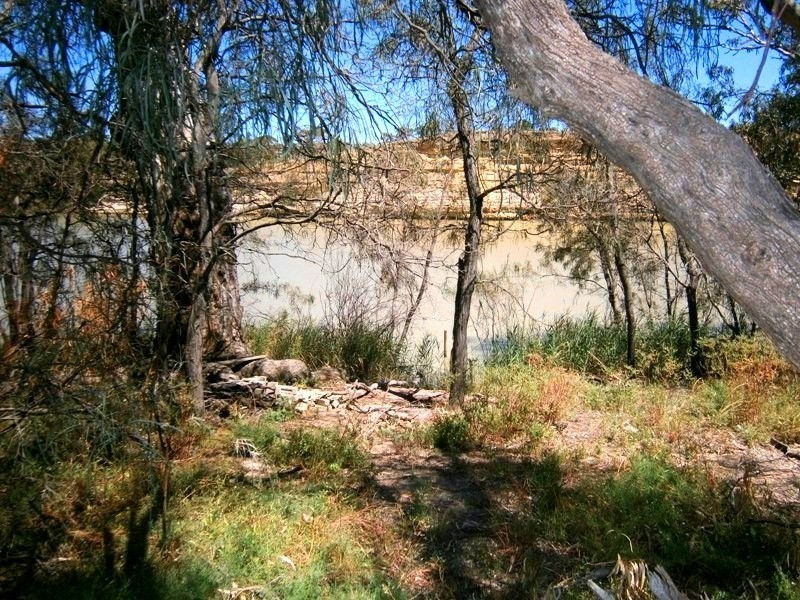 257 Old Cadell Road, Morgan SA 5320