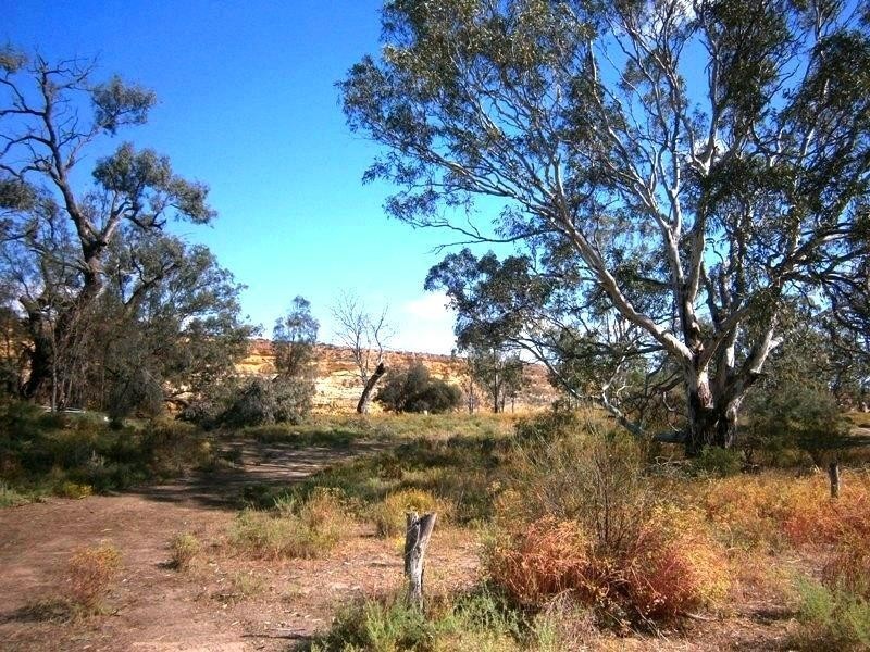 257 Old Cadell Road, Morgan SA 5320