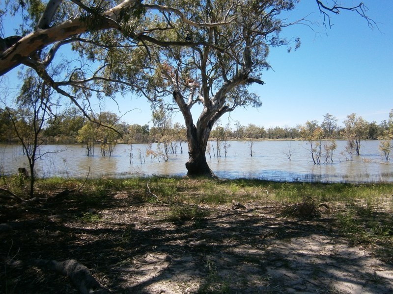 258 Old Cadell Road, Morgan SA 5320