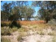 258 Old Cadell Road, Morgan SA 5320