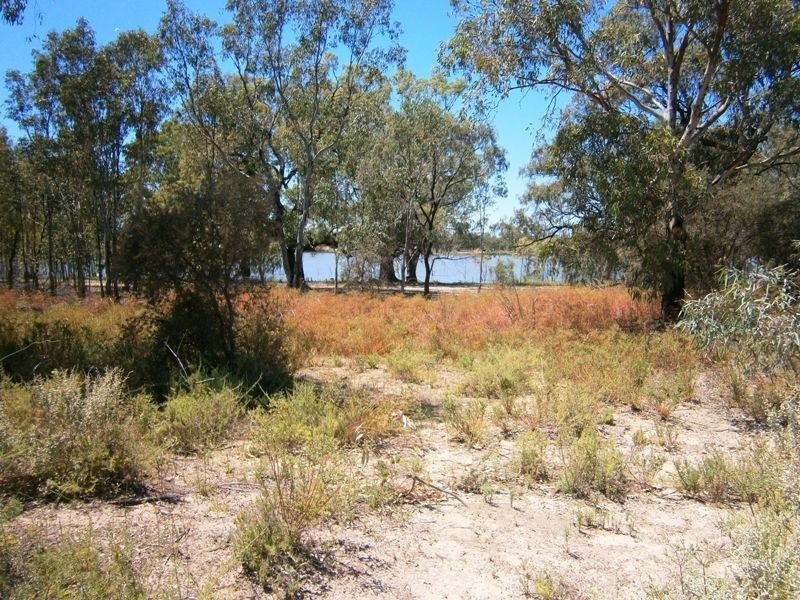 258 Old Cadell Road, Morgan SA 5320