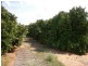 64 Lewis Road, Ramco Heights SA 5322