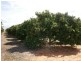 64 Lewis Road, Ramco Heights SA 5322