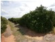 64 Lewis Road, Ramco Heights SA 5322