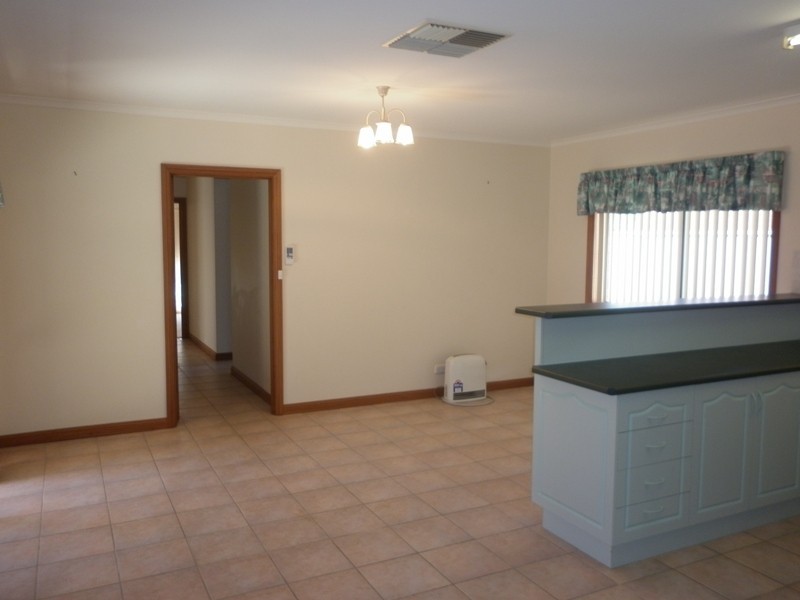 29B Korinthos Street, Renmark SA 5341