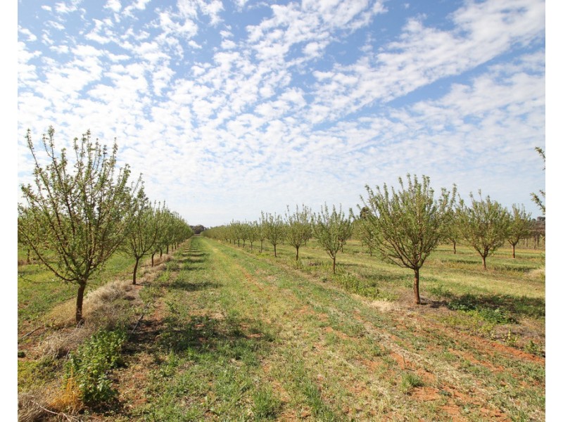 Sec 542 Gordon Road, Loxton SA 5333