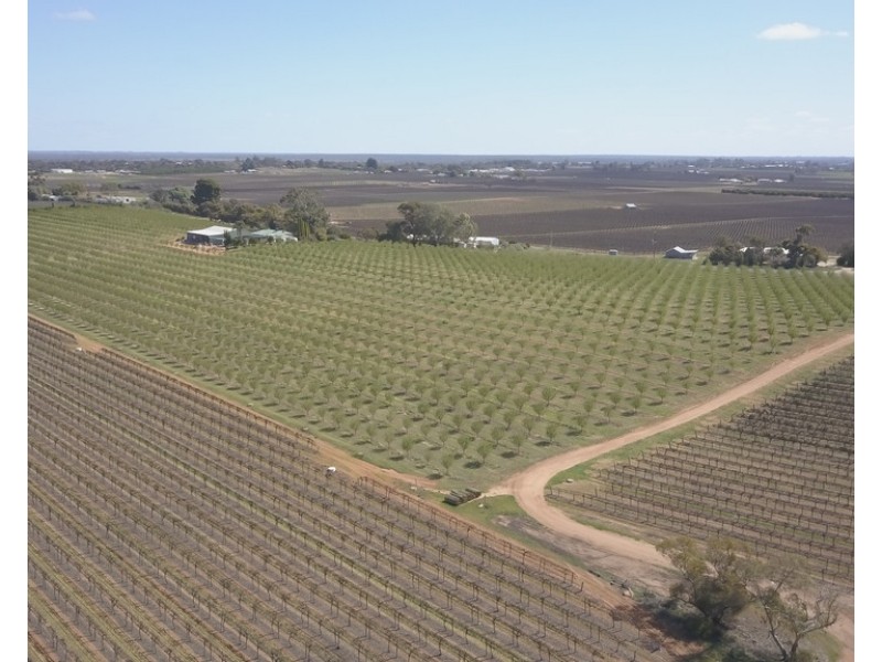 Sec 542 Gordon Road, Loxton SA 5333