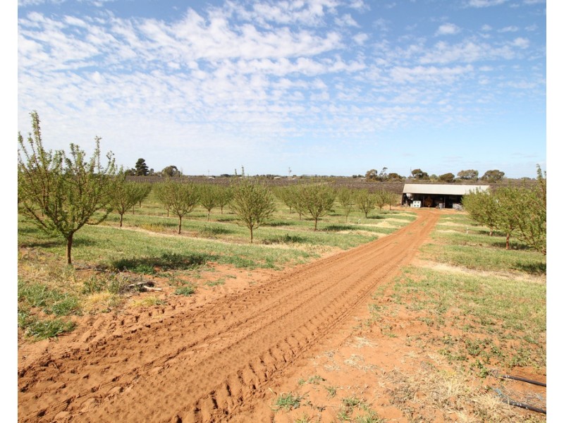 Sec 542 Gordon Road, Loxton SA 5333
