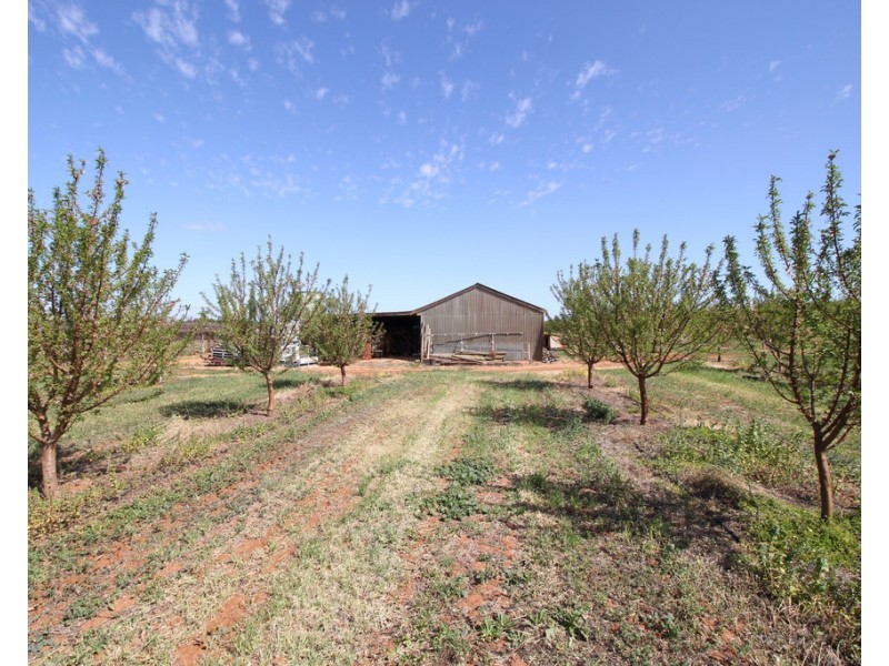 Sec 542 Gordon Road, Loxton SA 5333