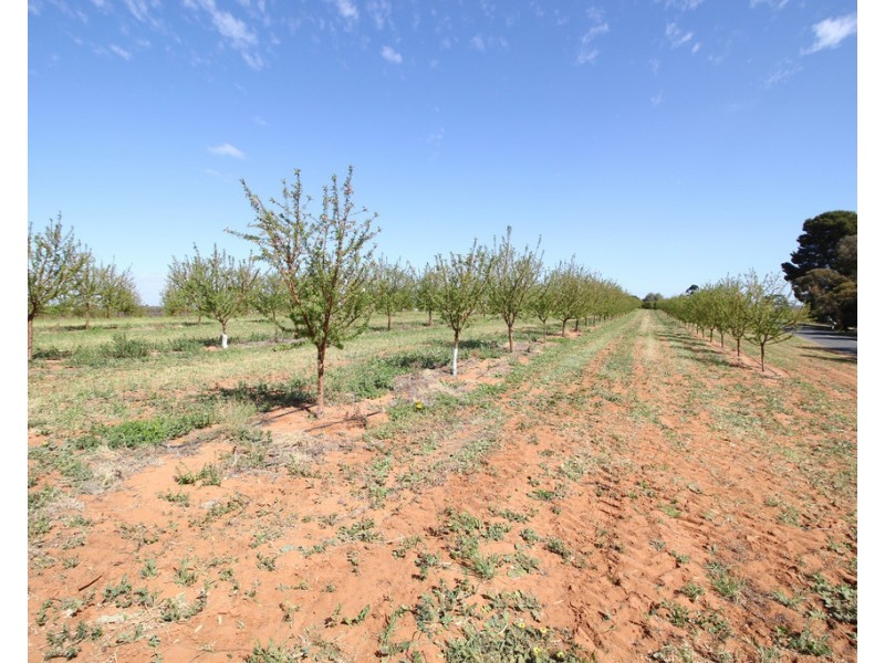 Sec 542 Gordon Road, Loxton SA 5333