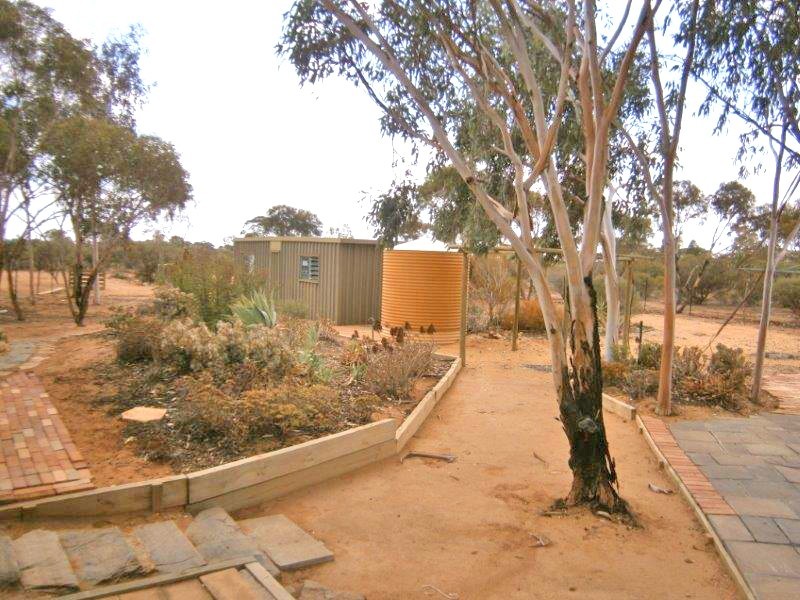 14 Ring Road, Morgan SA 5320