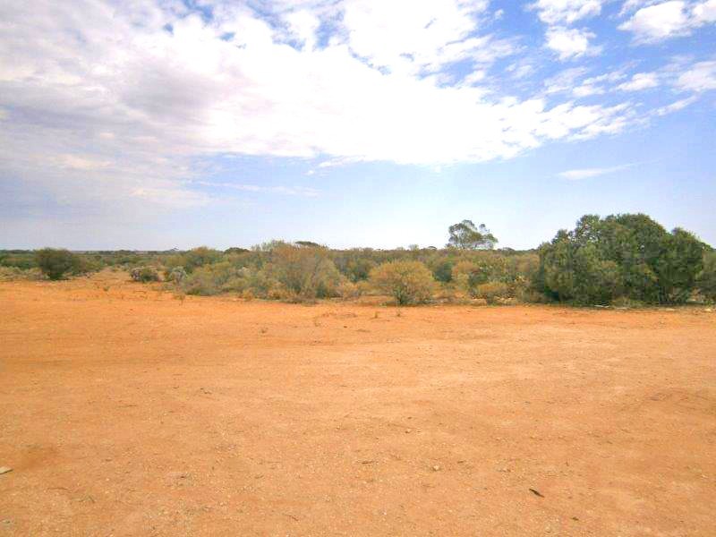 14 Ring Road, Morgan SA 5320