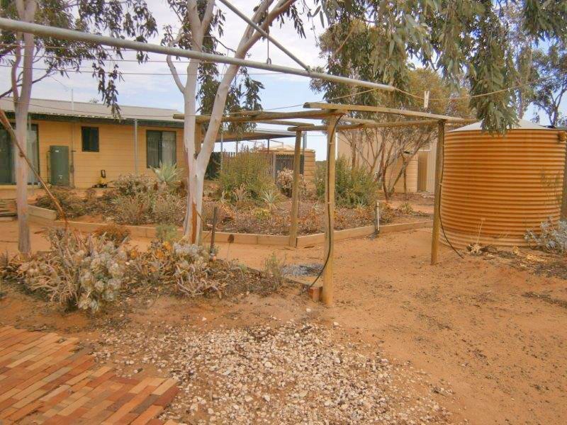 14 Ring Road, Morgan SA 5320