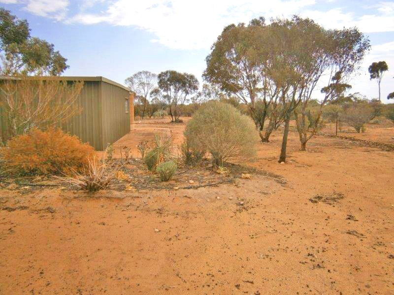 14 Ring Road, Morgan SA 5320