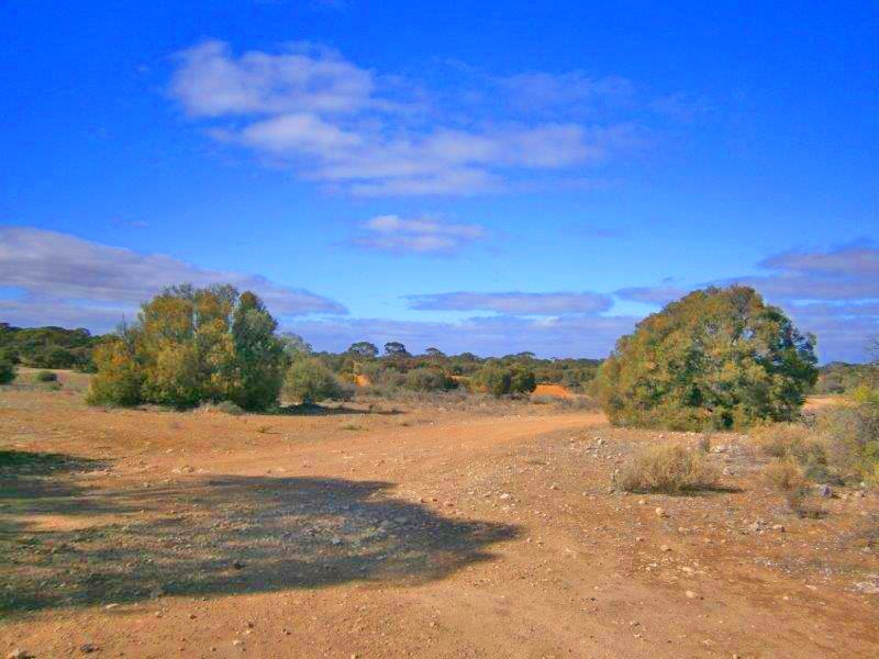 Lot 91 Sturt Highway, Blanchetown SA 5357