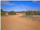 Lot 91 Sturt Highway, Blanchetown SA 5357
