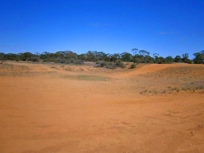 Lot 91 Sturt Highway, Blanchetown SA 5357
