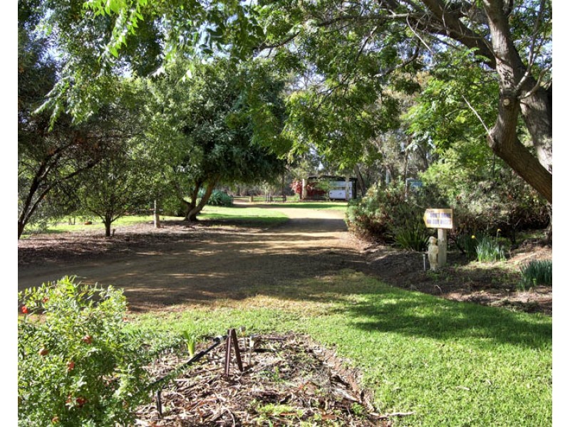 240 Morgan Rd, Barmera SA 5345