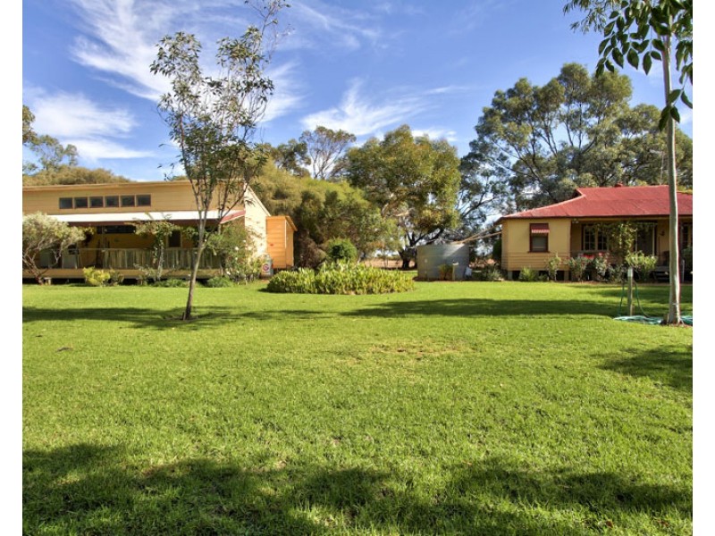 240 Morgan Rd, Barmera SA 5345