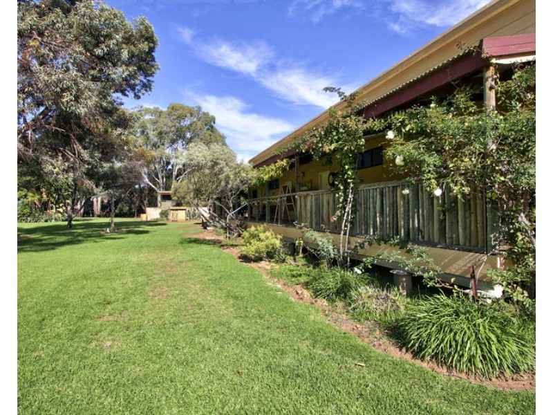 240 Morgan Rd, Barmera SA 5345