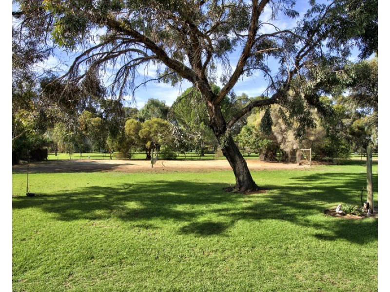 240 Morgan Rd, Barmera SA 5345