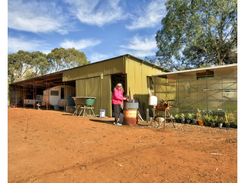 240 Morgan Rd, Barmera SA 5345