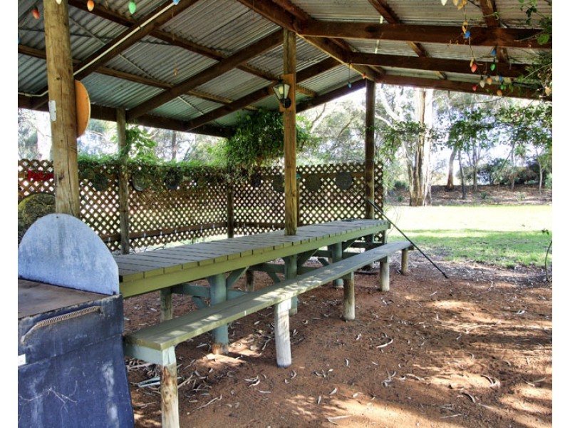 240 Morgan Rd, Barmera SA 5345