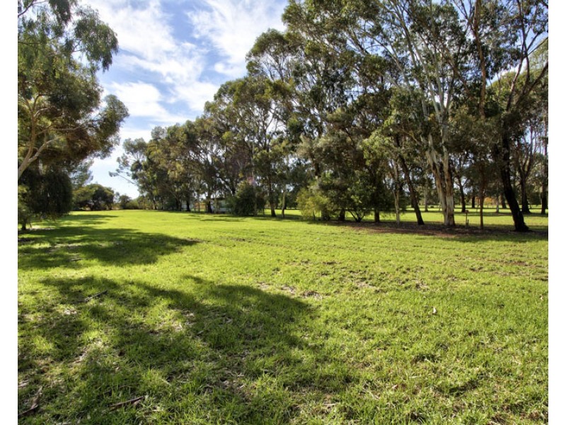 240 Morgan Rd, Barmera SA 5345