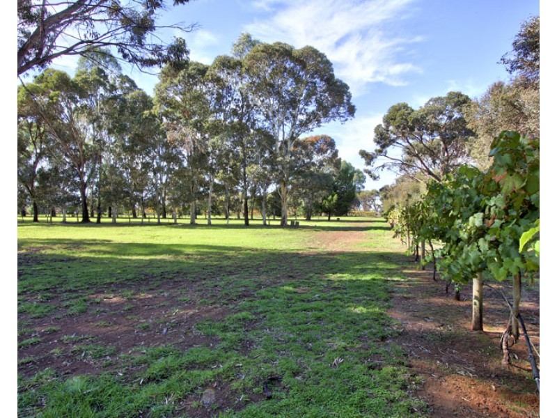 240 Morgan Rd, Barmera SA 5345