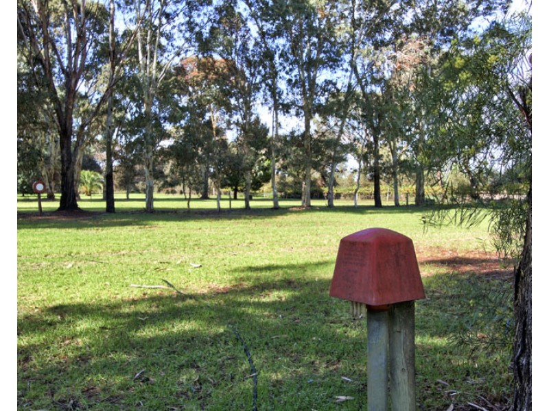 240 Morgan Rd, Barmera SA 5345