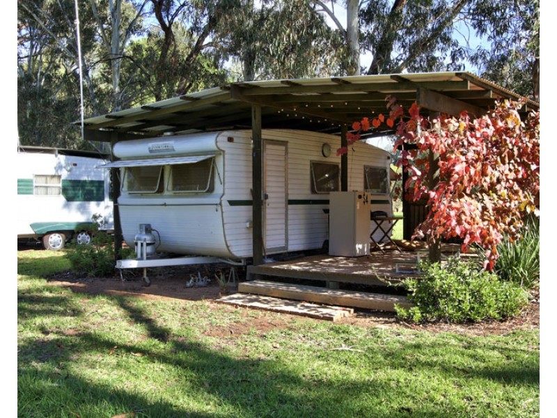 240 Morgan Rd, Barmera SA 5345