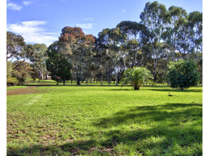 240 Morgan Rd, Barmera SA 5345