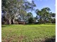 240 Morgan Rd, Barmera SA 5345