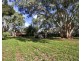 240 Morgan Rd, Barmera SA 5345