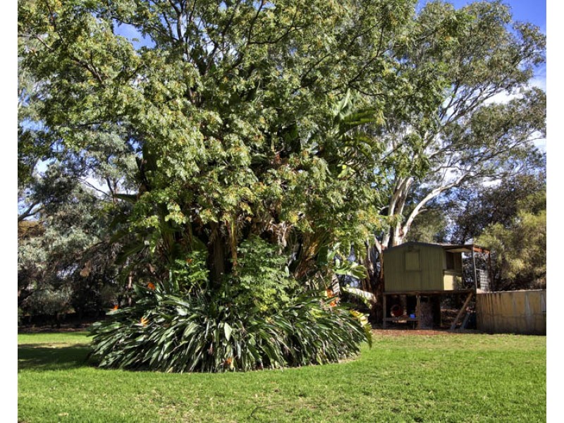 240 Morgan Rd, Barmera SA 5345