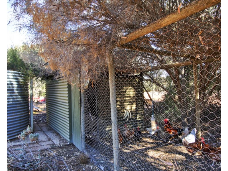 240 Morgan Rd, Barmera SA 5345