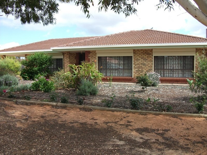 Section 571 Beames Road, Lyrup SA 5343