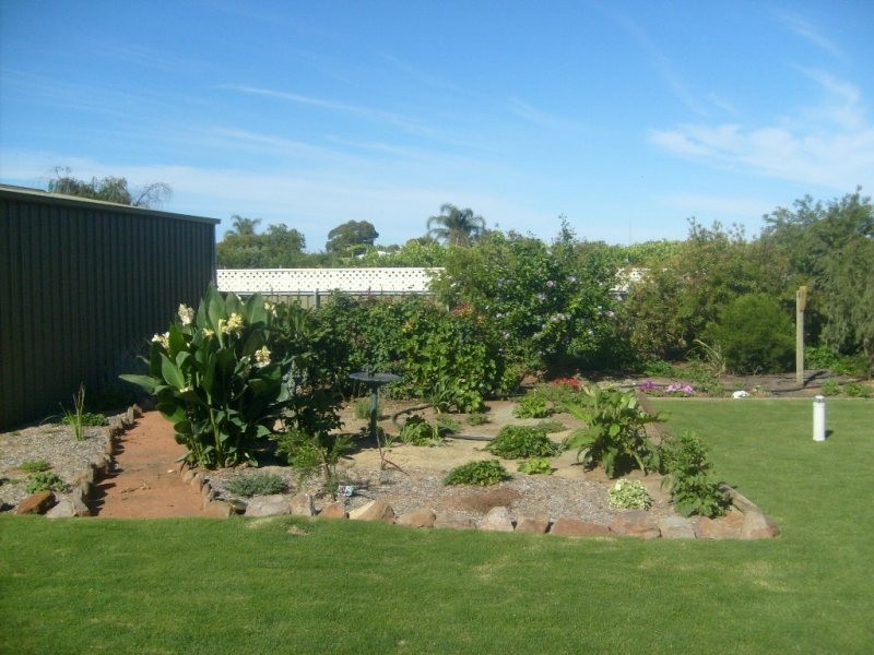 Section 571 Beames Road, Lyrup SA 5343