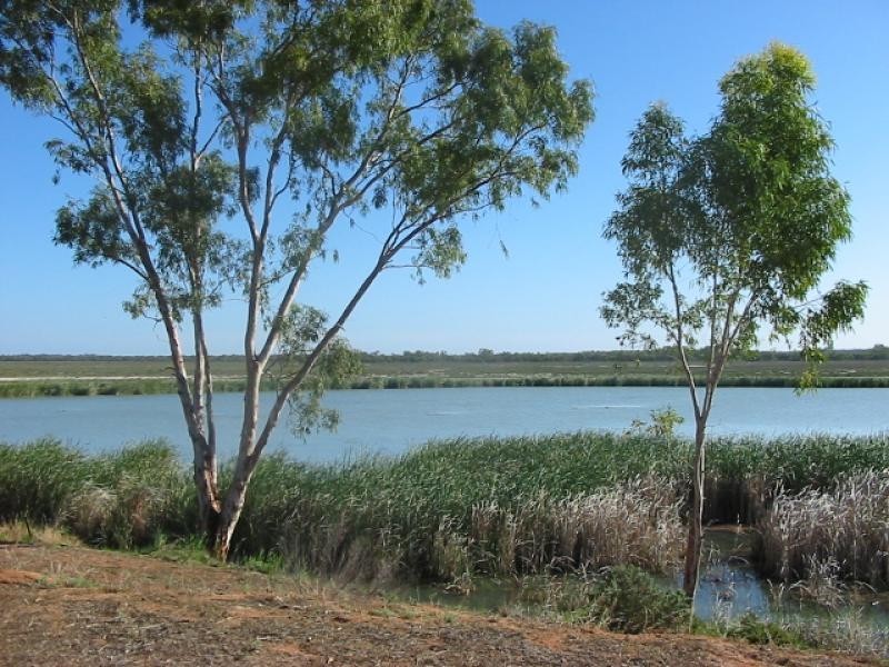 51 Meander Avenue, Renmark SA 5341