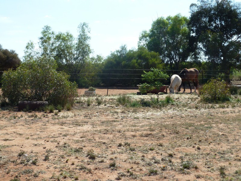 573 Anderson Road, Loxton SA 5333