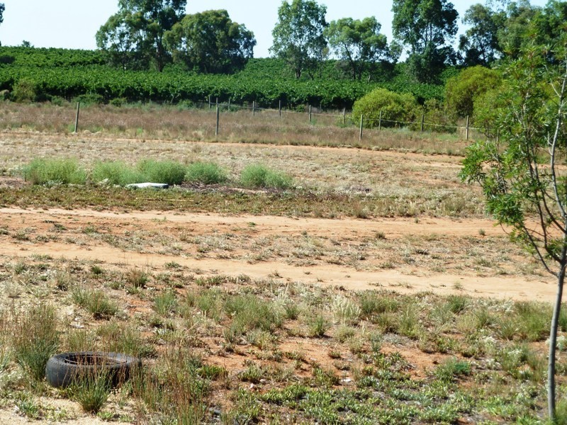 573 Anderson Road, Loxton SA 5333