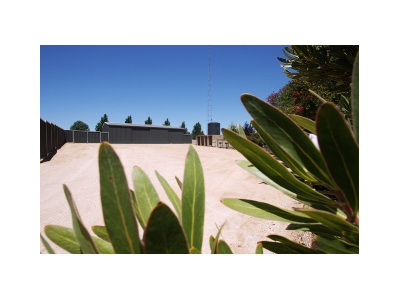 191 Briers Road, Loxton SA 5333