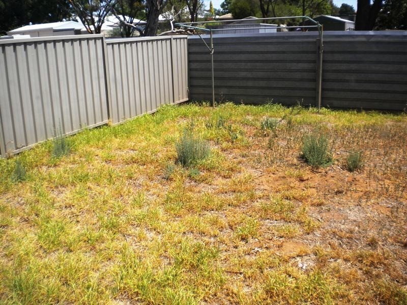 3/8  Eringa Avenue, Loxton SA 5333
